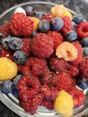 Image of Kleinhofers Himbeernest