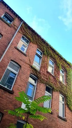 Image of Freiraum Hostel Kreuzberg