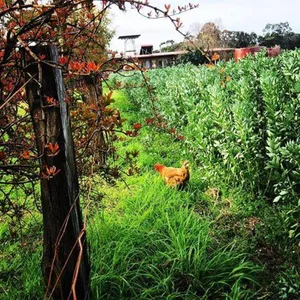 Image of Keller's Bed & Breakfast