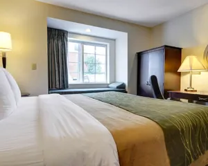 Image of Spark by Hilton Sterling Dulles Airport