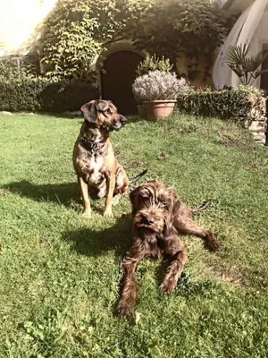 Image of Schloss Lichtengraben