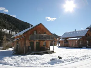 Image of Wooden Chalet in Styria by the Lake