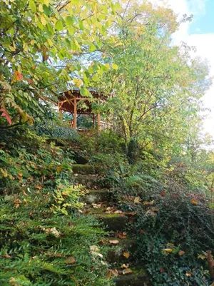 Image of PRIMA Hotel Goldgrund