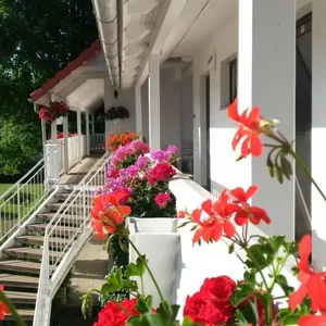 Image of Pension Geranienhof