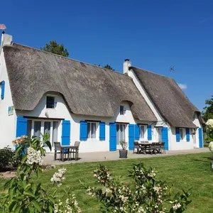 Image of Les Nymphéas
