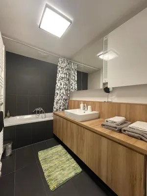 Image of Modern Danube Apartment Vienna