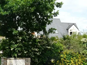 Image of Villanna