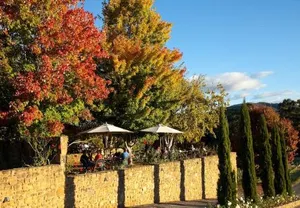 Image of Feathertop Winery
