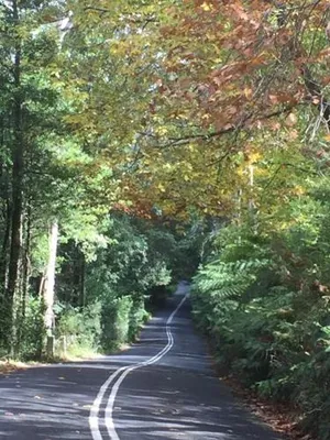 Image of Hawkesbury Country Stay