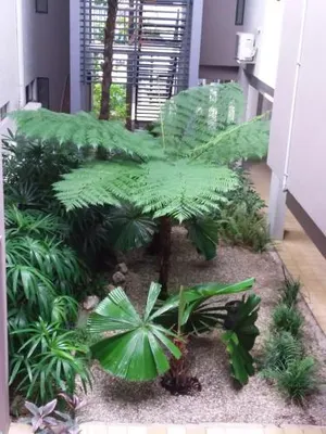 Image of Jackies Studio Apartment