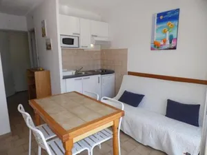 Image of Appartement 2 pièces 6 couchages, terrasse, parking privé, sud - FR-1-326-458