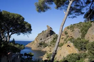 Image of La Calanque de Figuerolles