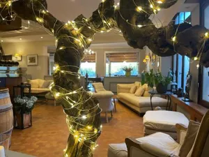 Image of Hotel Berneron