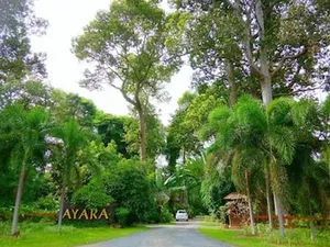 Image of Ayara Spa Resort Hotel