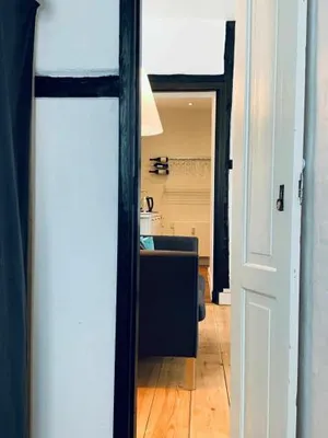 Image of ApartmentInCopenhagen Apartment 101