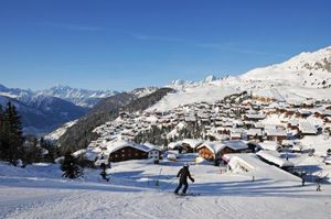 Image of Chalet Trollius