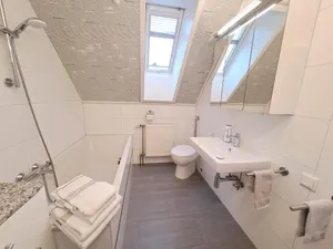 Image of Hortensie Speyer