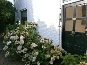 Image of Bed and Breakfast Azzurro