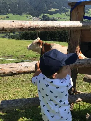 Image of Bleierhof Apartment