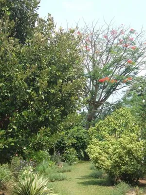 Image of Rumah Sawah