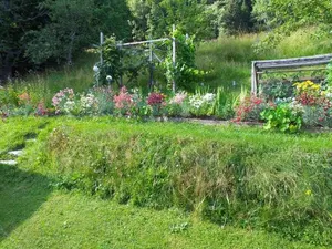 Image of Ferienwohnung Lisbeth Ambra