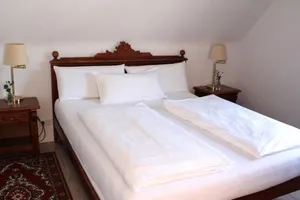Image of Hotel Viktoria