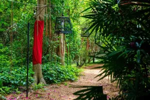 Image of Alcove Bungalow