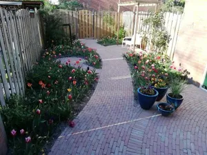 Image of Home Stay Utrecht