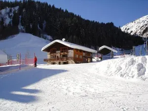 Image of Les Myosotis