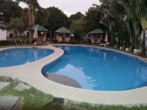 Image of Shane Beach Resort