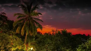 Image of Simon's Lodge Hikkaduwa