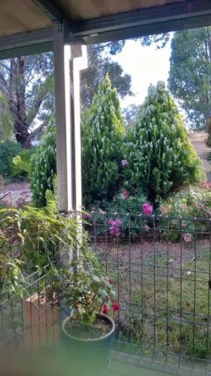 Image of Russellee Bed and Breakfast