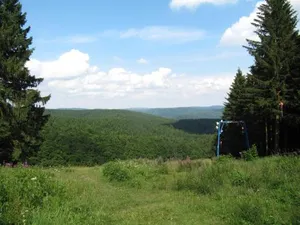 Image of Ferienwohnung Romerstein