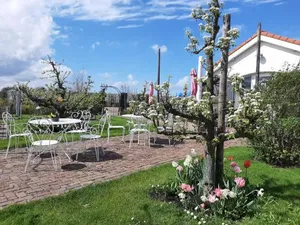 Image of Luxe chalet op minicamping in waarde
