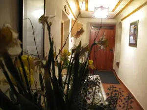 Image of Hotel Alpina