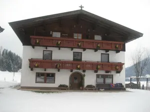 Image of Hinterankerwald