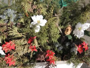 Image of Gletscherblick