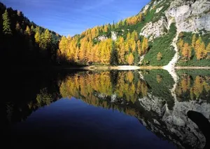 Image of Chalet Ferienhaus Hubertus