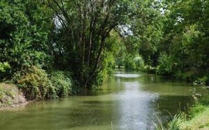 Image of La Poussardiere