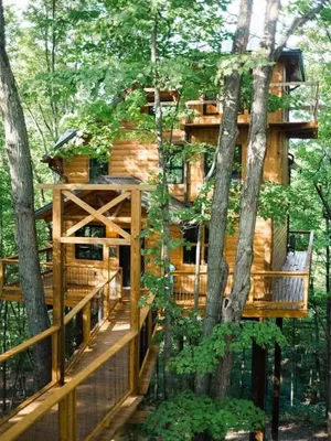 Image of Treehouse #2 by Amish Country Lodging
