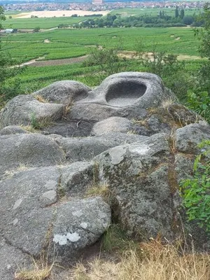 Image of Gite Au Nid De Cigognes