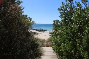 Image of Sisters Beach Paradise