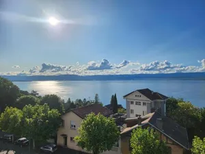 Image of Hôtel Savoie Leman