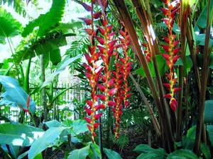 Image of Aquatica - Luxe Holiday Home