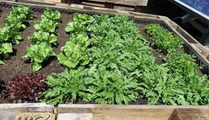 Image of Lesacherhof