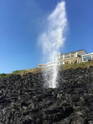 Image of Sea Whispers