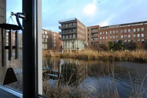 Image of The Green Tunnel