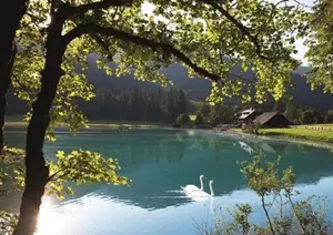 Image of Pension Zum wilden Hannes