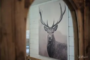 Image of Chalet Le Grand Cerf