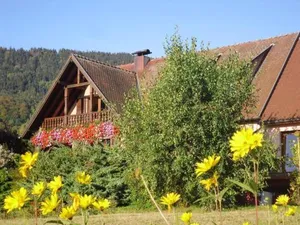 Image of Gîtes du Taennchel